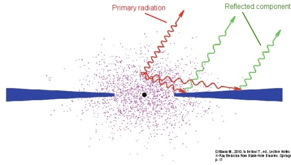 Schematic representation of the reflection of X-ray radiation off an accretion disk. Credit: Gilfanov M., 2010, Lecture Notes in Physics, Vol. 794, Springer-Verlag, Berlin, p. 17